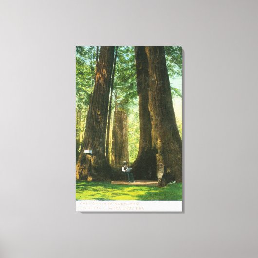 レッドウッドツインズアットビッグツリーグローブ キャンバスプリント (正面)