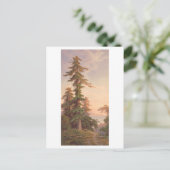 レッドウッドツリーズカリフォルニアヴィンテージプランリトグラフ ポストカード (スタンド正面)