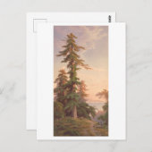 レッドウッドツリーズカリフォルニアヴィンテージプランリトグラフ ポストカード (正面/裏面)