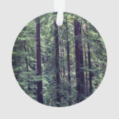 レッドウッドツリーズ#2オーナメント オーナメント (裏面)