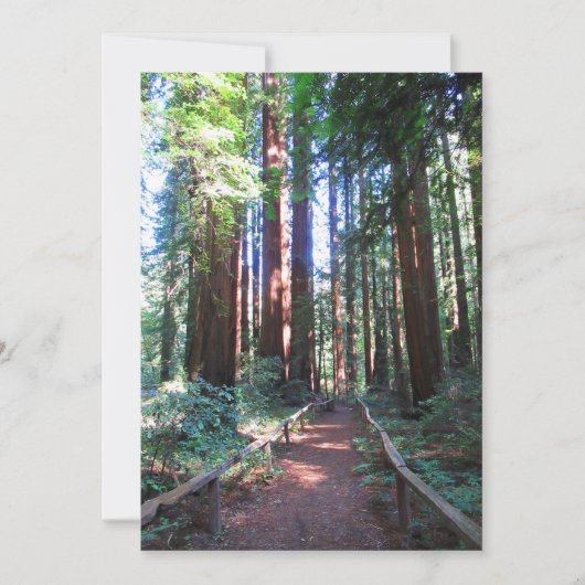 レッドウッドトレイルノーサーカリフォルニア 招待状 (正面)