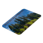 レッドウッドナショナルパークトールツリーズグローブ マグネット (左側)