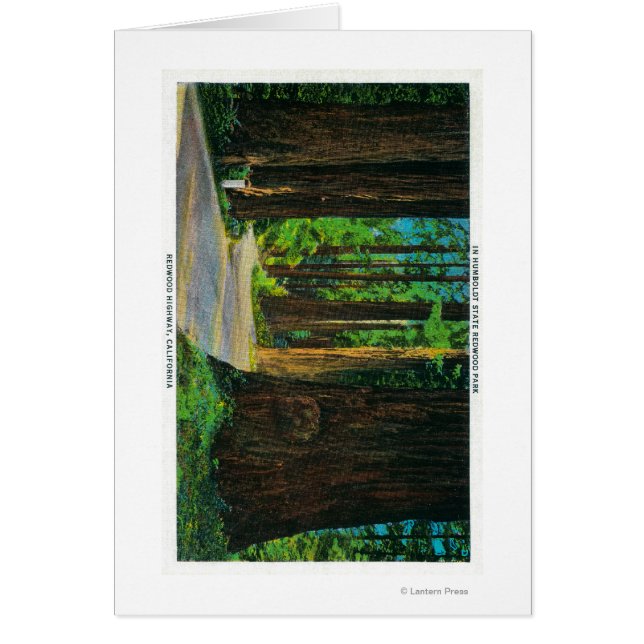 レッドウッドハイウェイインフンボルト州レッドウッドパーク (正面)