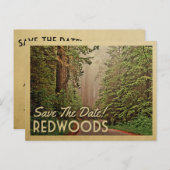 レッドウッドフォレストザデイトハンボルト州カリフォルニア 案内ポストカード (正面/裏面)