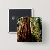 レッドウッドヨセミテ 缶バッジ (正面&裏面)