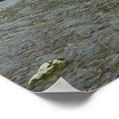 レッドウッド公園から北カリフォルニアの海岸線 ポスター (角)