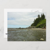 レッドウッド公園から北カリフォルニアの海岸線 ポストカード (正面/裏面)