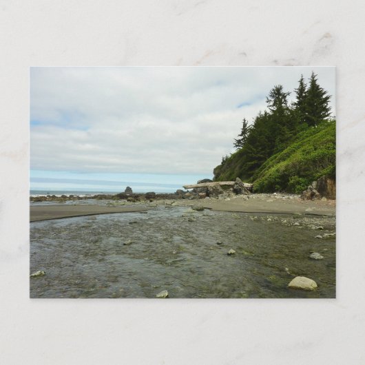 レッドウッド公園から北カリフォルニアの海岸線 ポストカード (正面)