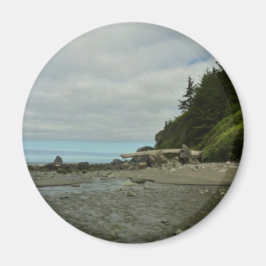 レッドウッド公園から北カリフォルニアの海岸線 マグネット (正面)