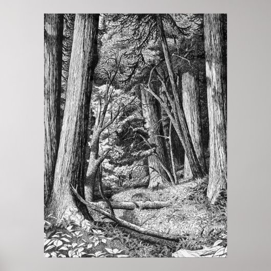 レッドウッド公園 ポスター (正面)