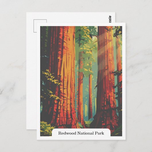 レッドウッド国立公園と州パーク,カリフォルニア州アメリカ ポストカード (正面/裏面)