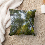 レッドウッド国立公園と州パーク,カリフォルニア クッション (ブランケット)