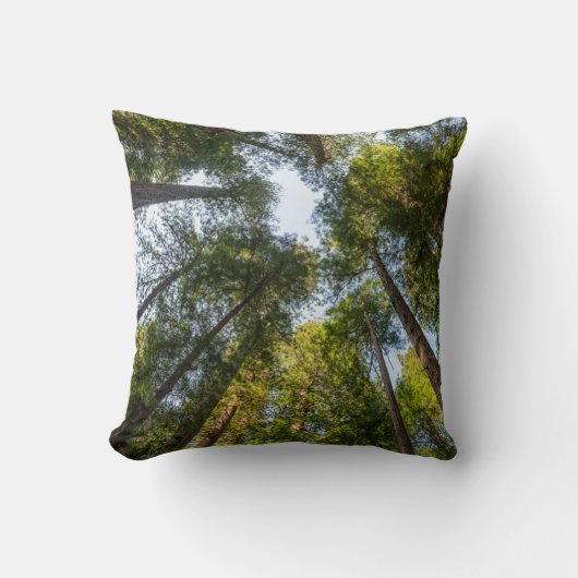 レッドウッド国立公園と州パーク,カリフォルニア クッション (正面)