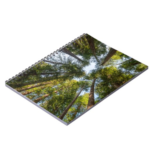 レッドウッド国立公園と州パーク,カリフォルニア ノートブック (左側)