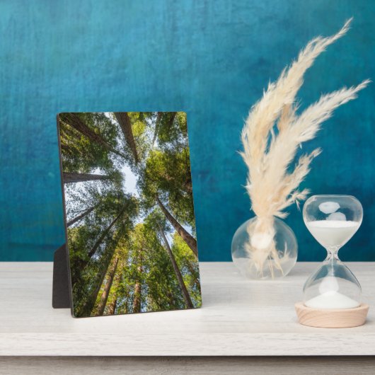 レッドウッド国立公園と州パーク,カリフォルニア フォトプラーク (側面)