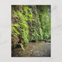 レッドウッド国立公園と州パーク，カリフォルニア