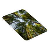 レッドウッド国立公園と州パーク，カリフォルニア マグネット (右側)