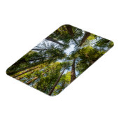 レッドウッド国立公園と州パーク，カリフォルニア マグネット (左側)