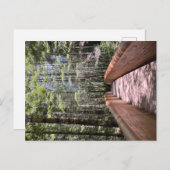 レッドウッド国立公園のはがき ポストカード (正面/裏面)