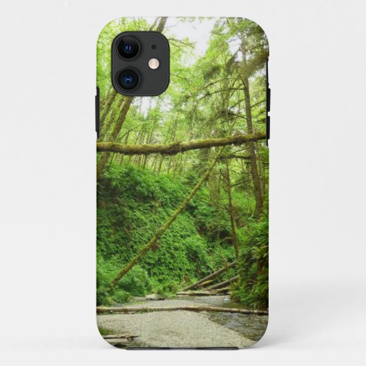 レッドウッド国立公園のシダ峡谷 I Case-Mate iPhoneケース (裏面)