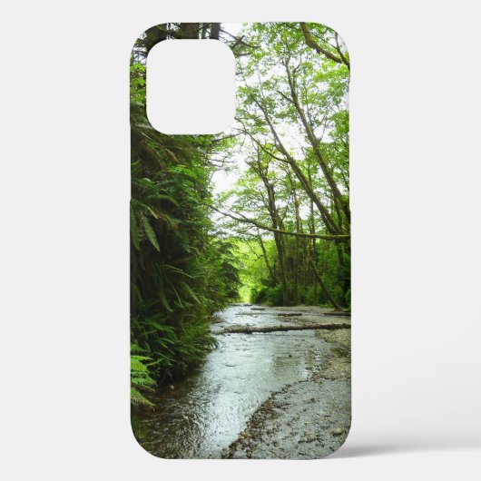 レッドウッド国立公園のシダ峡谷 II Case-Mate iPhoneケース (裏面)