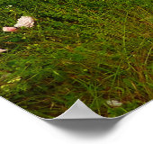 レッドウッド国立公園のユーロックループトレイル ポスター (角)