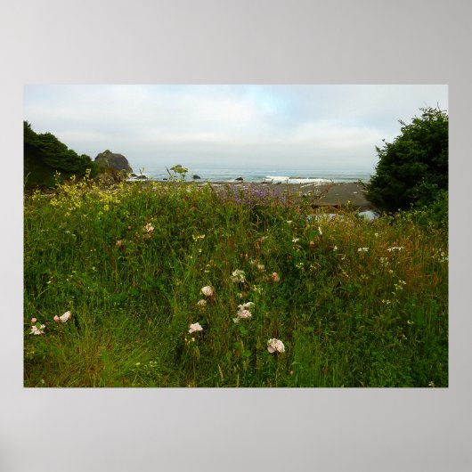 レッドウッド国立公園のユーロックループトレイル ポスター (正面)