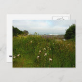 レッドウッド国立公園のユーロックループトレイル ポストカード (正面/裏面)