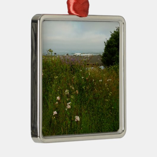 レッドウッド国立公園のユーロックループトレイル メタルオーナメント (右)