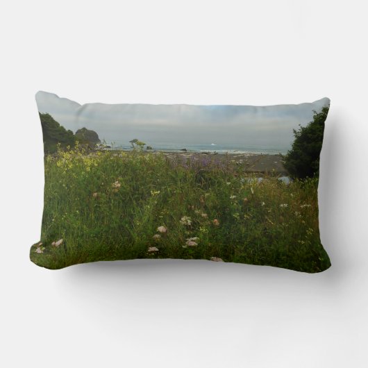 レッドウッド国立公園のユーロックループトレイル ランバークッション (正面)