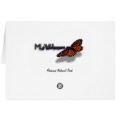 レッドウッド国立公園のレッドウッズとシダ (裏面横)