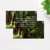 レッドウッド国立公園のレッドウッズとシダ (デスク)