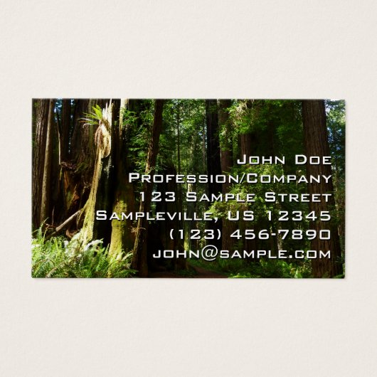 レッドウッド国立公園のレッドウッズとシダ (正面)