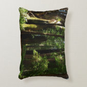 レッドウッド国立公園のレッドウッズとシダ アクセントクッション (正面(垂直))