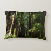 レッドウッド国立公園のレッドウッズとシダ アクセントクッション (裏面)