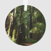 レッドウッド国立公園のレッドウッズとシダ オーナメント (裏面)