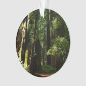 レッドウッド国立公園のレッドウッズとシダ オーナメント (正面)