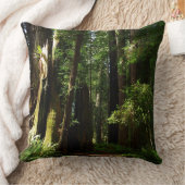 レッドウッド国立公園のレッドウッズとシダ クッション (ブランケット)