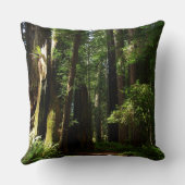 レッドウッド国立公園のレッドウッズとシダ クッション (裏面)