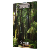 レッドウッド国立公園のレッドウッズとシダ クリップボード (左)