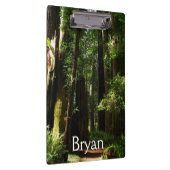 レッドウッド国立公園のレッドウッズとシダ クリップボード (右)