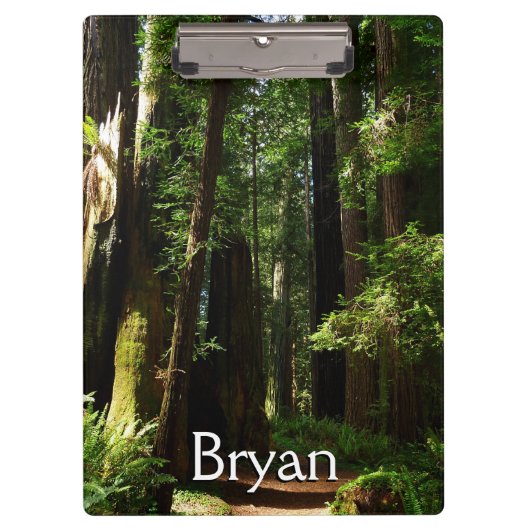 レッドウッド国立公園のレッドウッズとシダ クリップボード (正面)