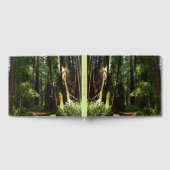 レッドウッド国立公園のレッドウッズとシダ ゲストブック (全面)