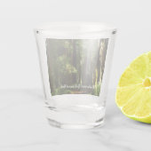 レッドウッド国立公園のレッドウッズとシダ ショットグラス (裏面)