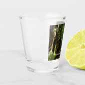 レッドウッド国立公園のレッドウッズとシダ ショットグラス (左)