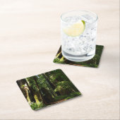 レッドウッド国立公園のレッドウッズとシダ スクエアペーパーコースター (インサイチュ)