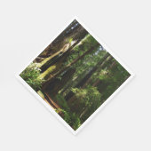 レッドウッド国立公園のレッドウッズとシダ スタンダードランチョンナプキン (角)