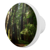 レッドウッド国立公園のレッドウッズとシダ セラミックノブ (右)