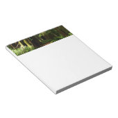 レッドウッド国立公園のレッドウッズとシダ ノートパッド (アングル)