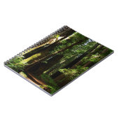 レッドウッド国立公園のレッドウッズとシダ ノートブック (左側)